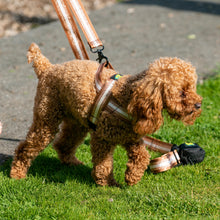 Load image into Gallery viewer, Kobe Harness