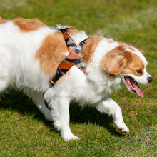 Load image into Gallery viewer, Georgie Harness