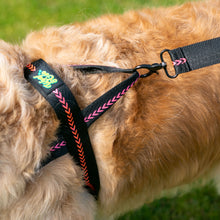 Load image into Gallery viewer, Rocky Road Harness