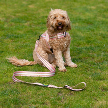 Load image into Gallery viewer, Bubble Gum Harness