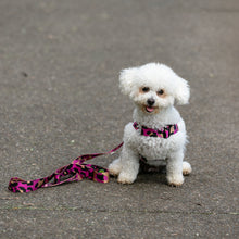 Load image into Gallery viewer, Molly Lead