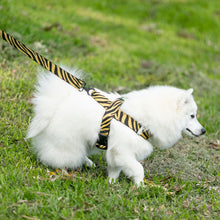 Load image into Gallery viewer, Albie Harness