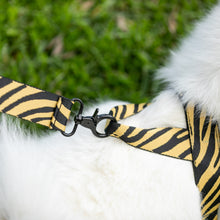 Load image into Gallery viewer, Albie Harness