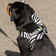 Load image into Gallery viewer, Autumn Harness