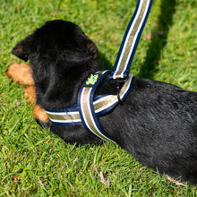 Load image into Gallery viewer, Wild Wagger Harness