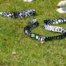 Load image into Gallery viewer, Stormy Day Lead