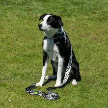 Load image into Gallery viewer, Lassie Harness