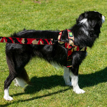 Load image into Gallery viewer, Fancy Frankie Harness