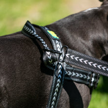 Load image into Gallery viewer, Shark Attack Harness