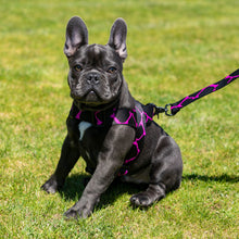 Load image into Gallery viewer, Obi Won Kinobi Lead