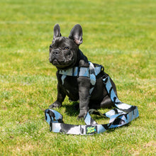 Load image into Gallery viewer, Rock Star Harness