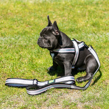 Load image into Gallery viewer, Candy Floss Lead