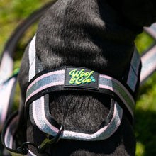 Load image into Gallery viewer, Candy Floss Harness