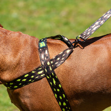 Load image into Gallery viewer, Lightning Harness