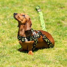 Load image into Gallery viewer, Lightning Harness