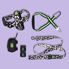 Load image into Gallery viewer, Fur Love Pack - M