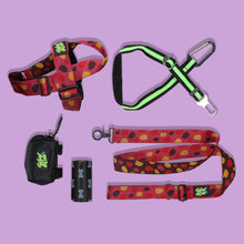 Load image into Gallery viewer, Fur Love Pack - M