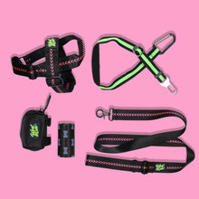 Load image into Gallery viewer, Fur Love Pack - L