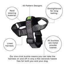 Load image into Gallery viewer, Jet Black Harness