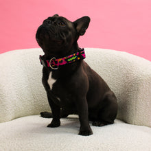 Load image into Gallery viewer, Molly Collar