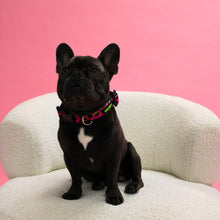 Load image into Gallery viewer, Molly Collar