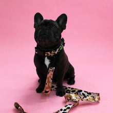Load image into Gallery viewer, Lucy the Leopard Collar