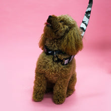 Load image into Gallery viewer, Jet Black Collar