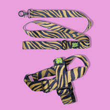 Load image into Gallery viewer, Pawsome Pack - M