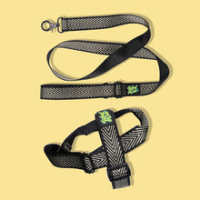 Load image into Gallery viewer, Pawsome Pack - S