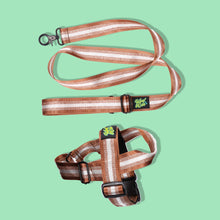 Load image into Gallery viewer, Pawsome Pack - L