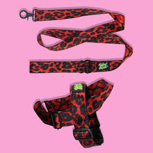 Load image into Gallery viewer, Pawsome Pack - L