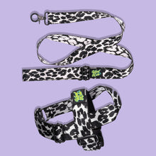 Load image into Gallery viewer, Pawsome Pack - M