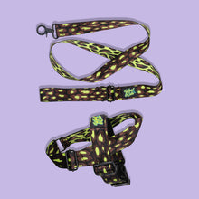 Load image into Gallery viewer, Pawsome Pack - XL