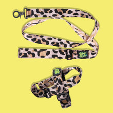 Load image into Gallery viewer, Pawsome Pack - XS