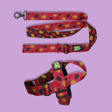 Load image into Gallery viewer, Pawsome Pack - M