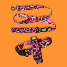 Load image into Gallery viewer, Pawsome Pack - XL