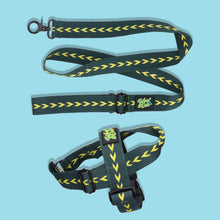 Load image into Gallery viewer, Pawsome Pack - S