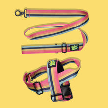 Load image into Gallery viewer, Pawsome Pack - M