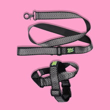 Load image into Gallery viewer, Pawsome Pack - XS