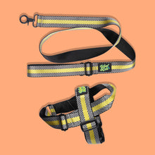 Load image into Gallery viewer, Pawsome Pack - L