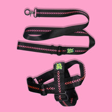 Load image into Gallery viewer, Pawsome Pack - S