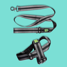 Load image into Gallery viewer, Pawsome Pack - M