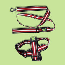 Load image into Gallery viewer, Pawsome Pack - L