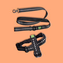 Load image into Gallery viewer, Pawsome Pack - L