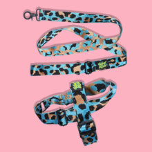 Load image into Gallery viewer, Pawsome Pack - M