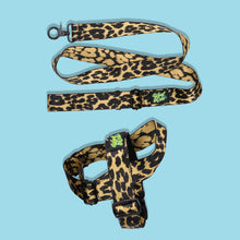 Load image into Gallery viewer, Pawsome Pack - XL