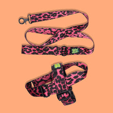 Load image into Gallery viewer, Pawsome Pack - S