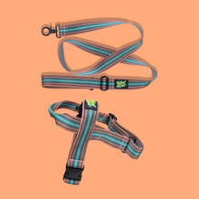 Load image into Gallery viewer, Pawsome Pack - S