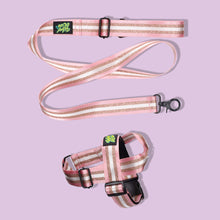 Load image into Gallery viewer, Pawsome Pack - S