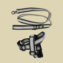 Load image into Gallery viewer, Pawsome Pack - M